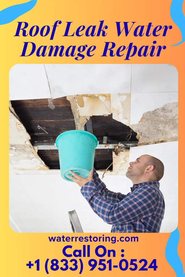 Roof Leak Water Damage Repair in Monteagle, TN