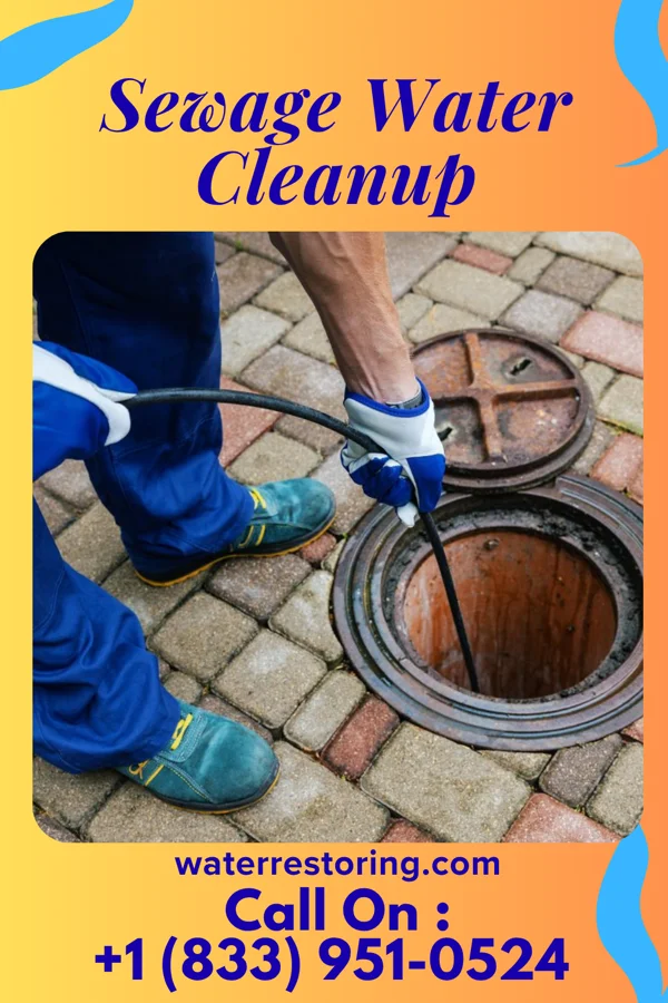 Sewage Water Cleanup in Monteagle, TN